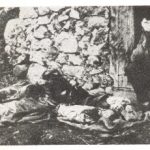 Kad se je vratio natrag u selo Košutica 27. veljače 1942 sa hrvatskim Domobranima je našao pred svojom kućom cijelu svoju obitelj ubijenu od Četnika.