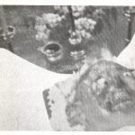 Svečenik Jakob Barišić.
Četnici su mu ogulili kožu s glave.