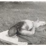 U šumi Borja (izmedžu Teslića i Banja Luke) su Četnici ubili 25. kolovoza 1941 Ljudevita Drasklera iz Teslića.
Izvadili su mu srce iz prsnog koša i ogulili su mu kožu s glave do polovice prsa. U tom stanju mu je nadžen leš dva dana kasnije.