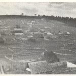 To je bilo hrvatsko selo Žljebovi.
Četnici su selo totalno uništili.