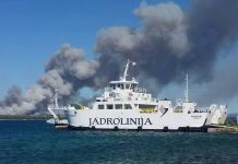 NAKON POSTAVLJANJA SPOMENIKA MIRI BAREŠIĆU BUKNUO VELIKI POŽAR NA ISTOM TERENU