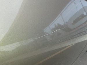 14409041_10210443190787224_228034825_n