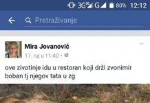 SRPSKA NOVINARKA JOVANOVIĆ NAKON HUŠKANJA MEĐUNACIONALNIH SUKOBA PROZIVA OBITELJ BOBAN