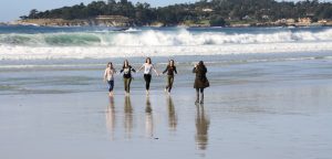 dio-carobne-frule-na-plazi-u-carmelu