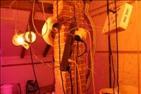 U srpskim kućama u Vrginmostu postoje još tri laboratorija za dilanje marihuane?!