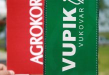 Gdje je nestalo 20-tak milijuna kuna od prodanih 7% dionica Vupika u vlasništvu Vukovarskog branitelja d.o.o.?!