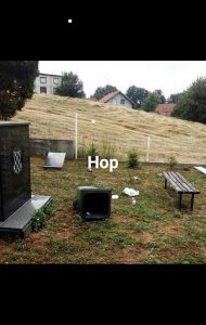 orca-image-1499000629615.jpg_1499000629733