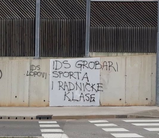 Istarskim štetočinama IDS-u smetaju hrvatski ratni zrakoplovi