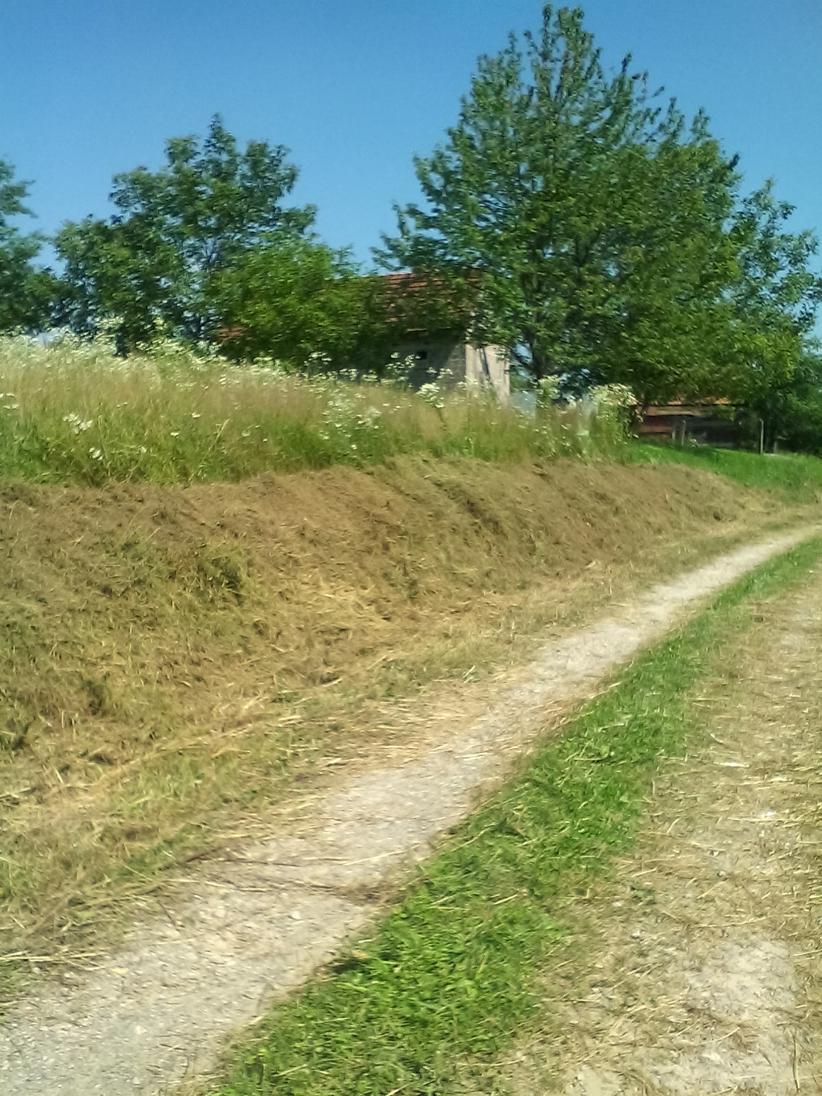 ovako se kosi i uedjuje SDSS-ovcima