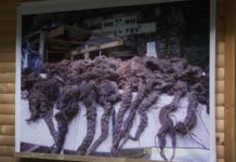 SKANDAL: Velikosrpska propaganda se dokopala austrijskog uglednog lista ´Der Standard´ i blati Hrvate pred očima veleposlanice Cvjetković