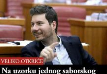 Živi zid, Bošnjaković, Žalac i ekip uhljeba u kradezeu stala uz Pupovca protiv Penave