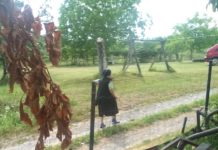 Na Banovini: ‘Je*at ću ti onu tvoju ustašku majku smaknut ću ja tebe ‘