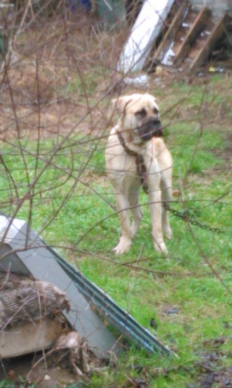 3f9f74659ee762417652da66a57f282cace8d6c19dc60cffd9e5e0cf120787fa