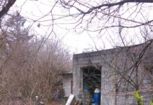 10 godina nepropisino drži pse, a veterinarska inspekcija tvrdi da oni nisu nadležni!i