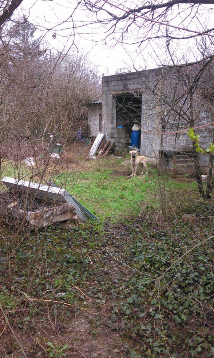 b191576dba63f3b660218104f21a2eb1bbcc71a19c646906a0600c808f40e897