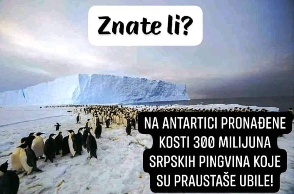 ustaše