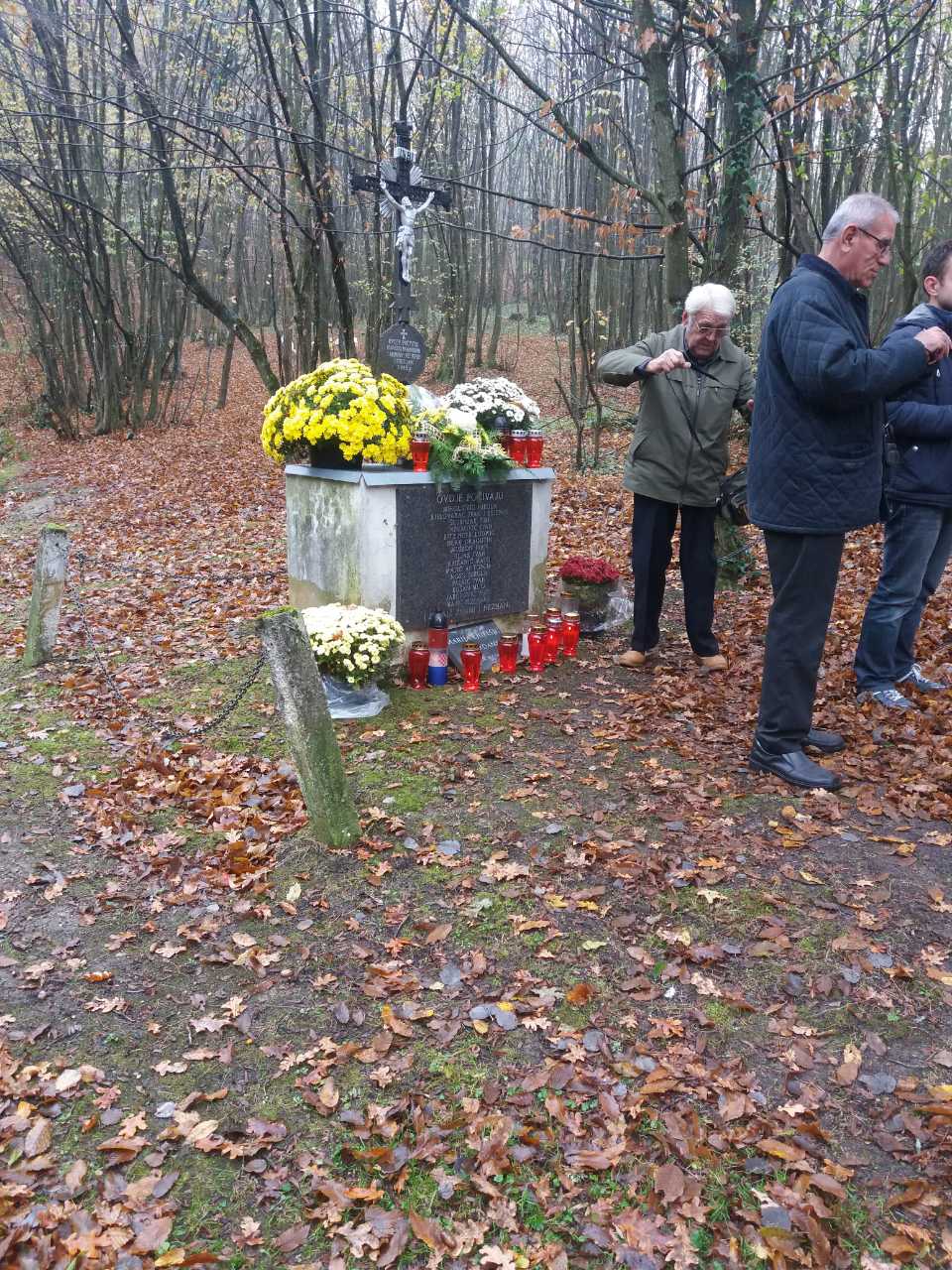 IMG-bcc3f144224ae157033fe338043c9cdf-V