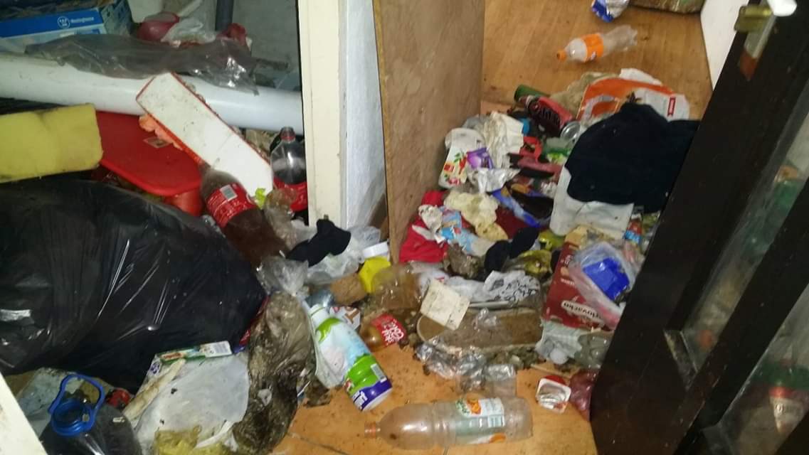 FB_IMG_1543790384717