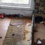 FB_IMG_1543790408070