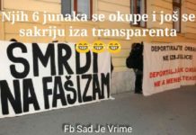 Šest soroševih (srpskih ekstremista) demonstriralo protiv Orbana jer žele migrantski kaos u Hrvatskoj!