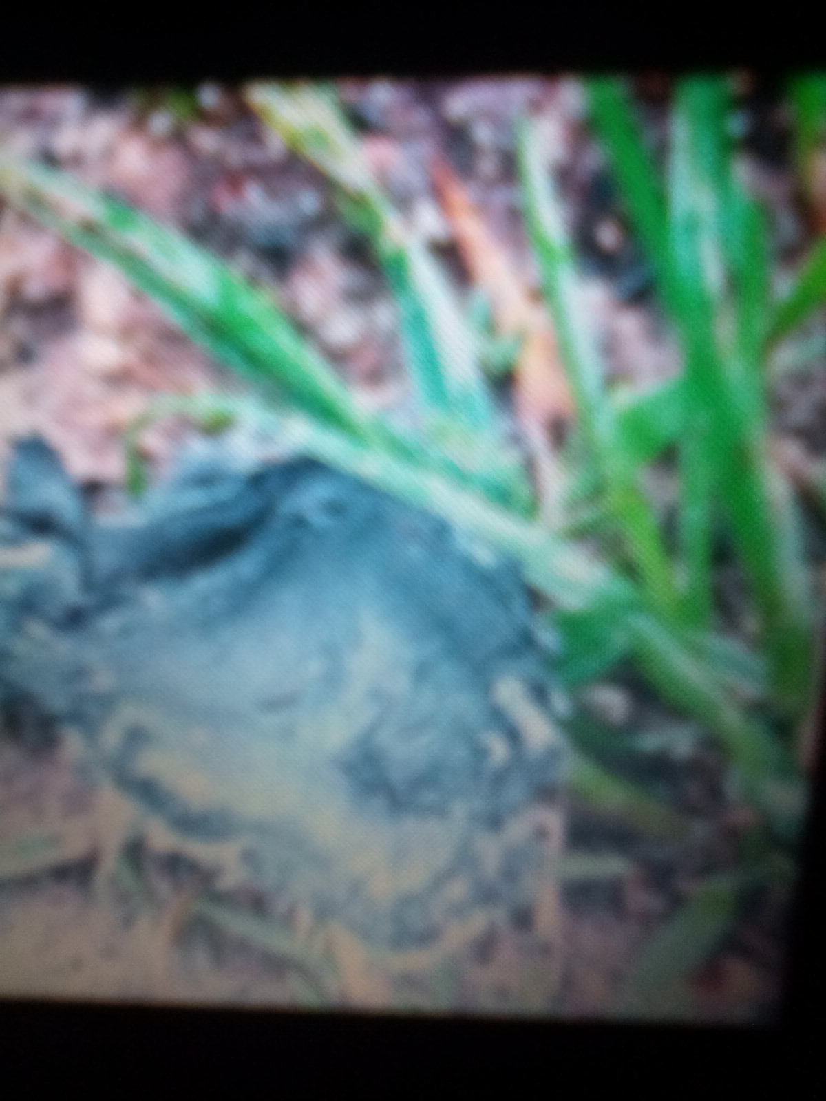 IMG_20180514_193437-1