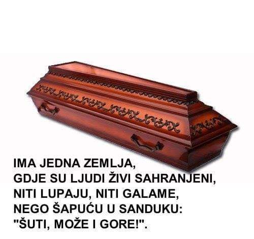 FB_IMG_1552218839836