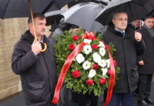 Hrvatske službe osiguravaju vučićevog četnika koji organizira biračko tijelo Pupovcu za EU izbore