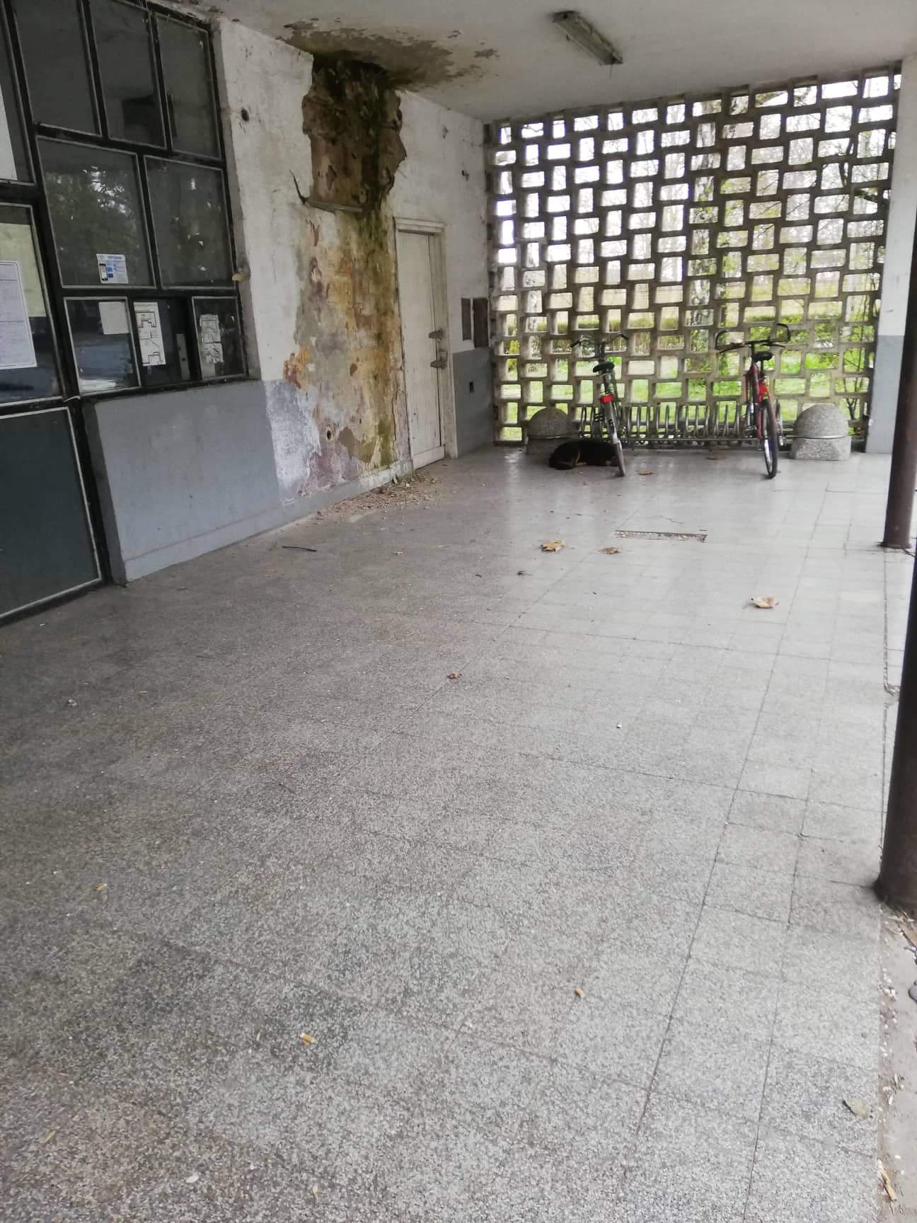 received_343174082970994