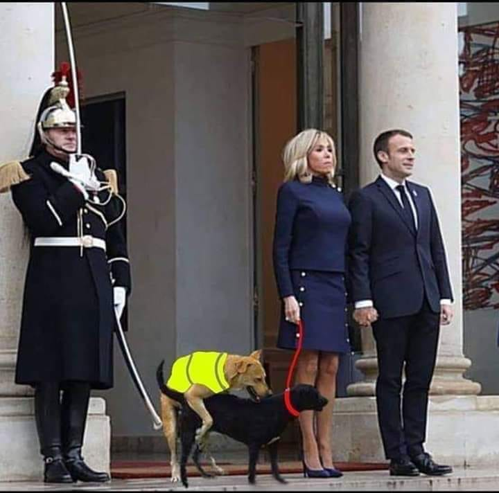 received_822271181444109