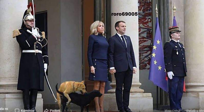 FB_IMG_1553419397283