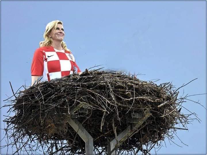 FB_IMG_1553725111736