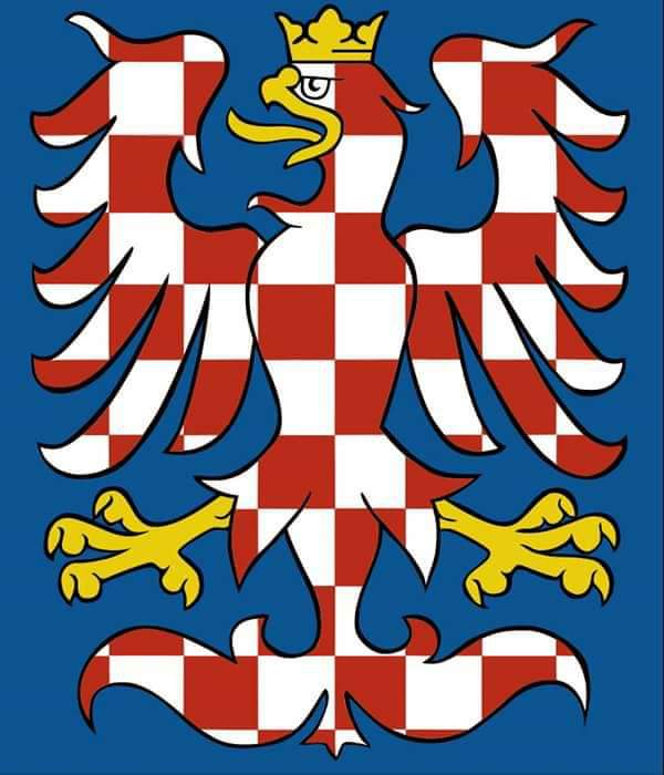 FB_IMG_1563791495873