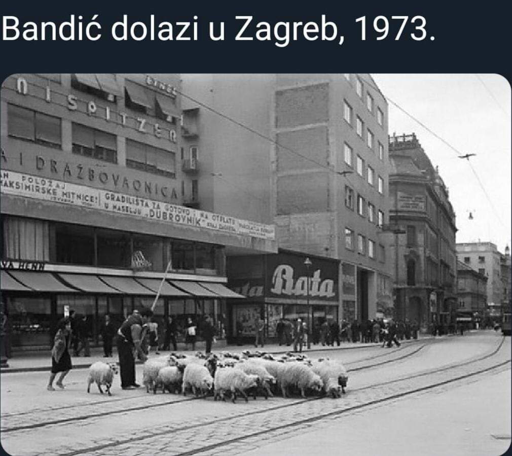 FB_IMG_1567143368771