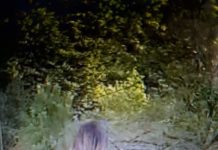 Policija Hrvate progoni zbog “šahovnice sa prvim bijelim poljem”, a kraj njih u Topuskom Srbi mašu srpskim zastavama i pjevaju četničke pjesme!