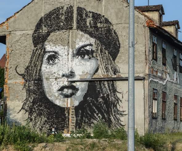 FB_IMG_1572174507499