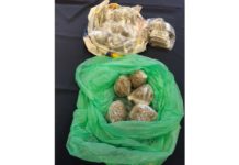 Muškarac i žena iz Srbije uhićeni sa velikom količinom droge