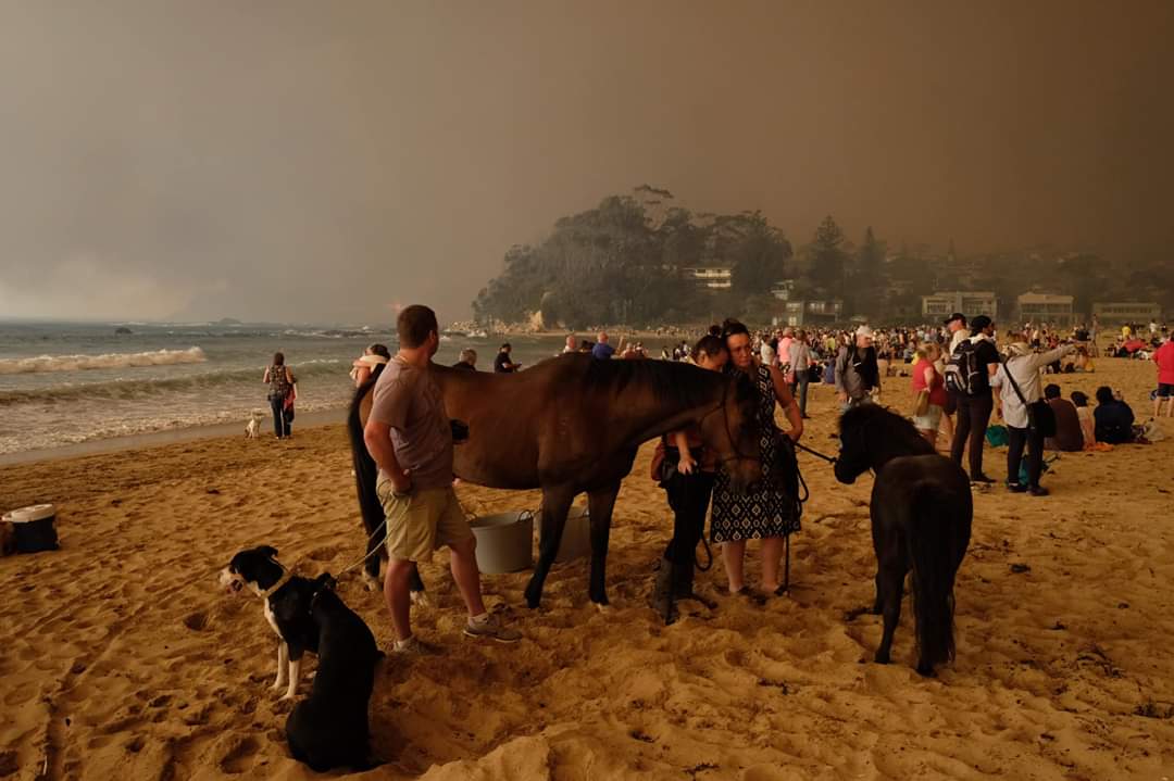 FB_IMG_1578346472058