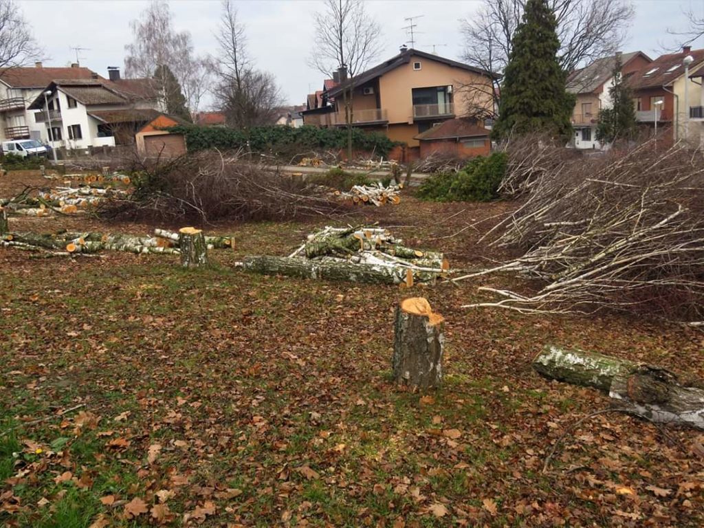 FB_IMG_1578909719262