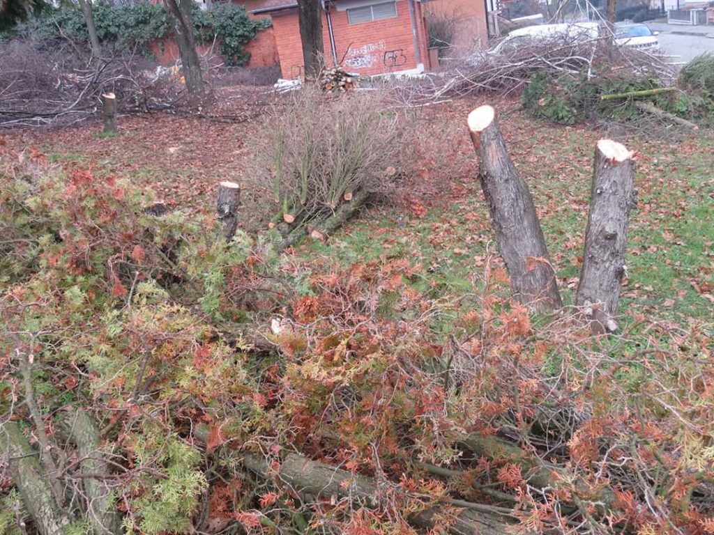 FB_IMG_1578909726200