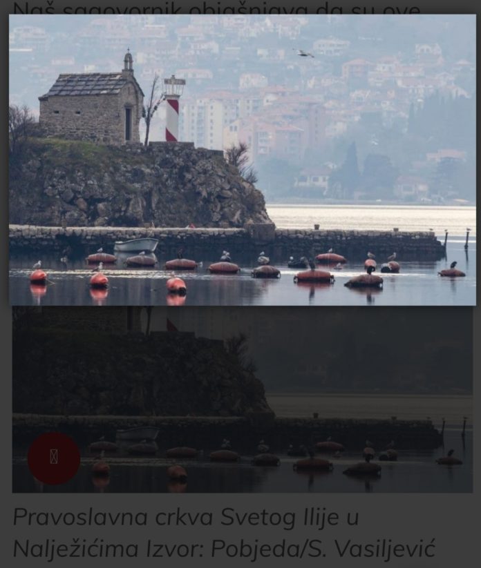 inbound7096143805849166146