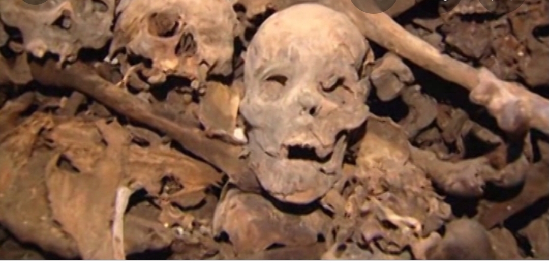 Screenshot_20200224-115345_Google