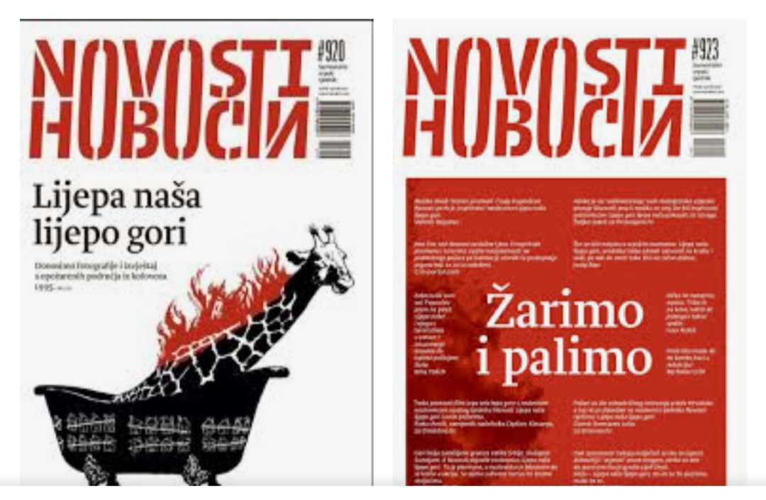 inbound5373226765965348846