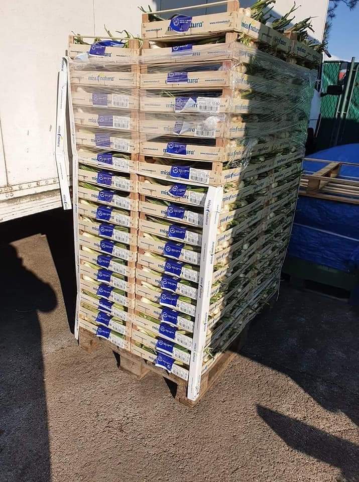 FB_IMG_1585071623401