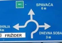 SLADOLJEV: “KOD SVINJSKE GRIPE SCENARIJ NIJE BIO DOVOLJNO DOBAR – PA SU SADA POVEĆALI PANIKU!”