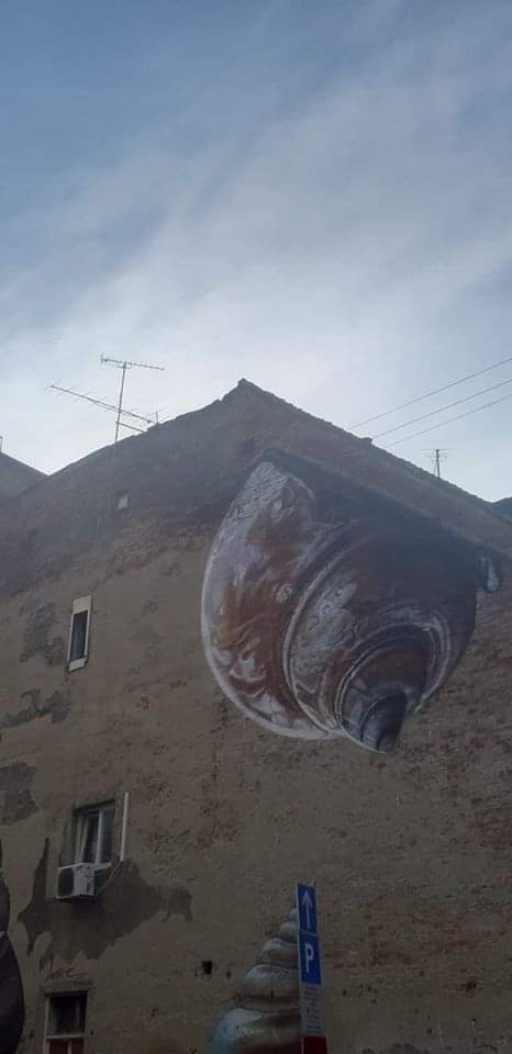 received_220910395821581