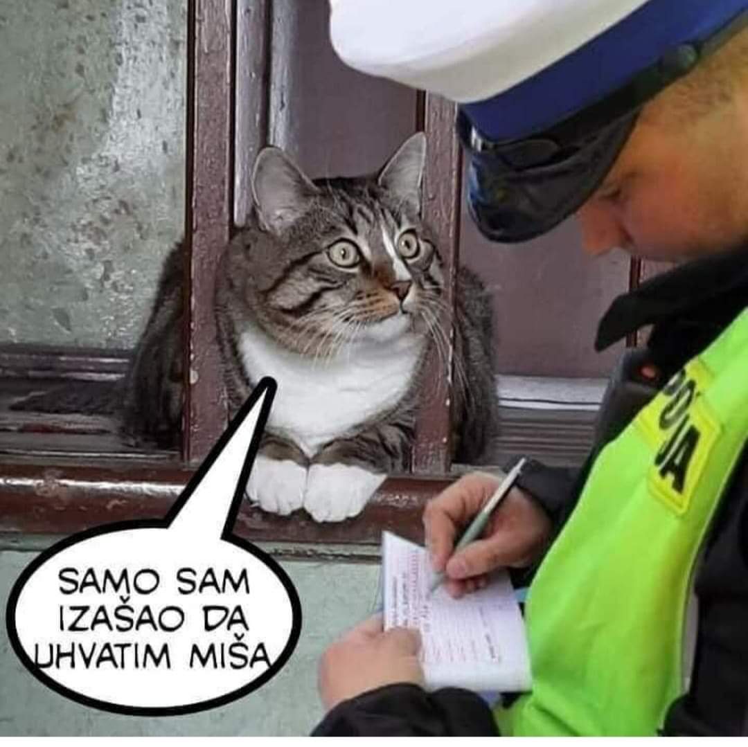 FB_IMG_1587746578527