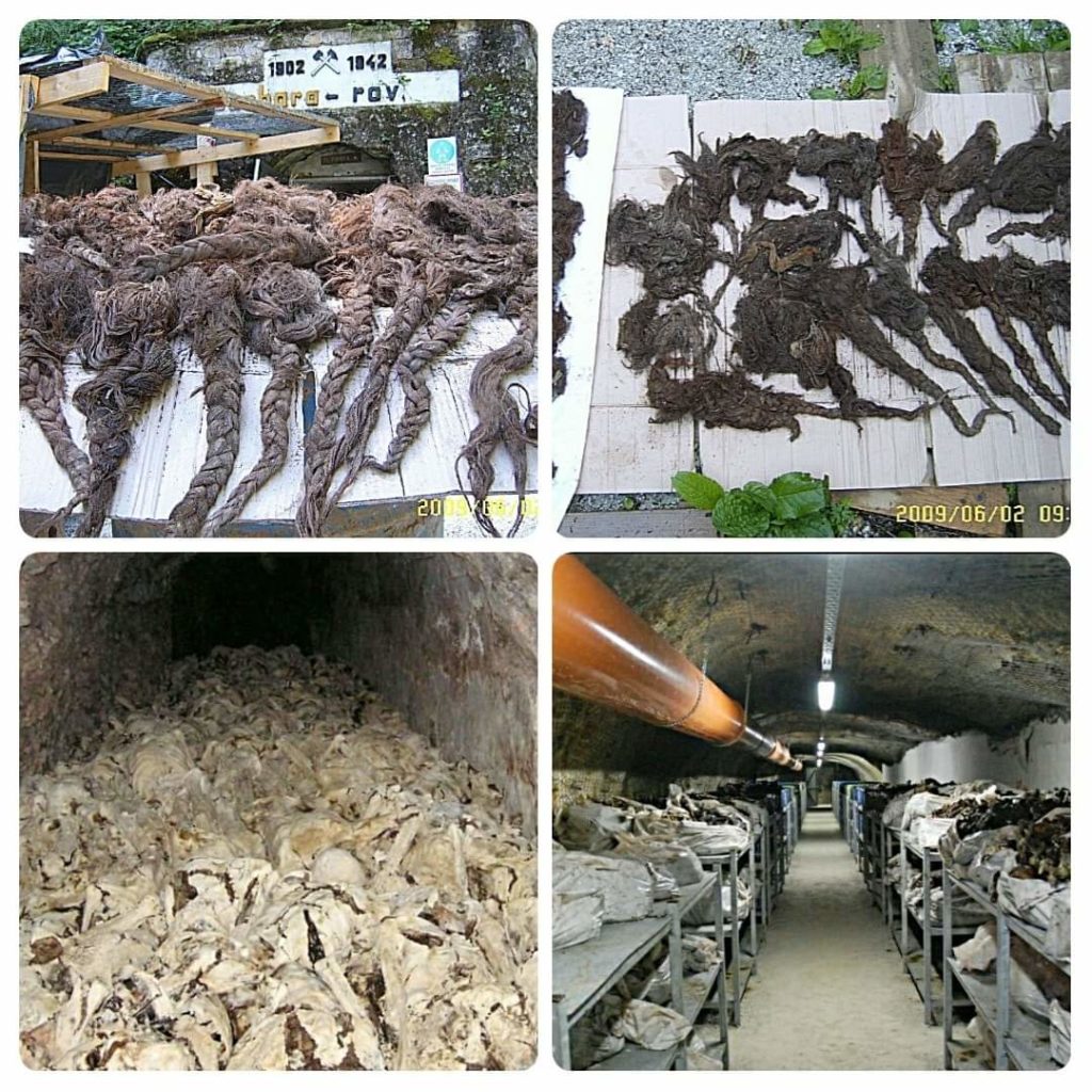 FB_IMG_1589551440851