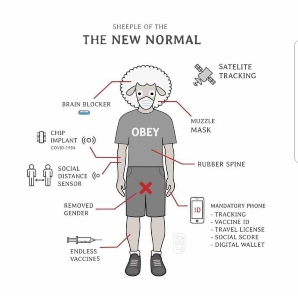 FB_IMG_1591094215370