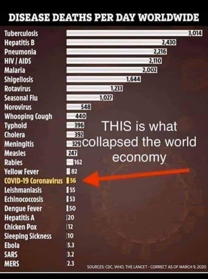 FB_IMG_1592465037704