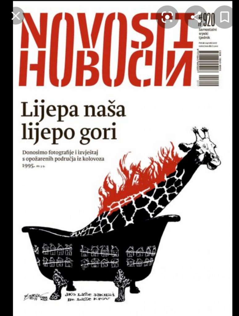 Screenshot_20200725-185315_Google